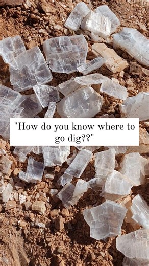 2.5K views · 95 reactions | We get this question a lot--"How do you...