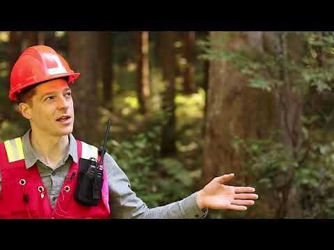 Variable-Radius (Variable-Area) Sampling