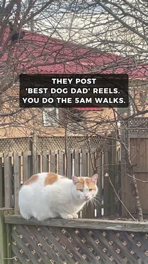 My Dog Exposed Who Actually Does the Work (Watch Till End)