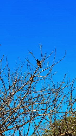 Exploring Punjabi Culture Through Photography