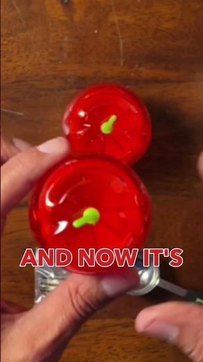 Get Rid of Fruit Flies: Raid Fruit Fly Trap (120 Days of Coverage)