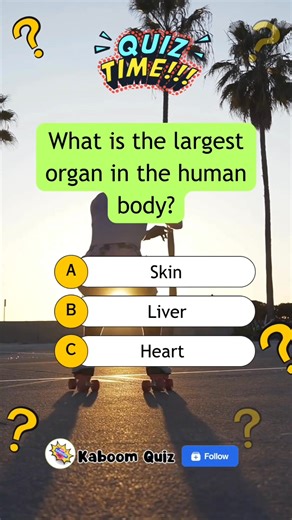 28K views · 2K reactions | What is the largest organ in the human body? #quiz #quiztime #quizreels #popquiz #triviaquiz #generalknowledgequiz #braingame #educational #trivia #funfacts #science #sciencequiz | Kaboom Quiz | Facebook
