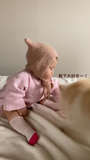 anna.mom2020 on Instagram: "🐕と👶🏻 この前のpostの続きの動画🎥🎞 はなに対して あんなはあまりキレないんだけど あまりに靴下がじがじやってくるこの時は急に怒。笑 こんなに怒った顔するのが 面白くて笑っちゃった。笑 最後、すん!と我に返って、 赤ちゃんらしからぬ感じにワロタ。笑 ＃犬と赤ちゃん一緒にいると 大変だけど楽しい #millk #bambolina #生後9ヶ月 #9ヶ月ベビー #女の子ベビー #女の子ママ #むすめふく#令和2年ベビー #べびふる #子育てぐらむ #個人輸入 #韓国ベビー服 #韓国子供服 #ままのて #ラブベビ #2020_winter_baby部 #コドモノ #ベビーグラム #赤ちゃんのいる生活 #犬のいる生活"