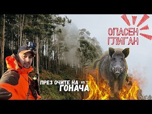 ЛОВ НА ДИВИ ПРАСЕТА! През очите на гонача ЕП.7 / Опасен глиган!
