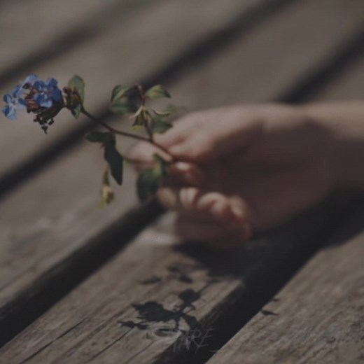 Taylor Swift - Seven | Lyrics and Meaning Explained