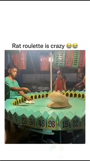 The High Humor Community on Instagram: "Every gamer knows the real final boss is not the enemy on screen but the router blinking silently in the corner. One moment you are unstoppable, landing perfect shots, timing flawless moves, confidence high, and the next moment the screen freezes like it’s judging your life choices. The router chooses violence at the worst possible time, right during a ranked match, announcing lag with a single red light of doom. You reboot it like a ritual, whispering pra