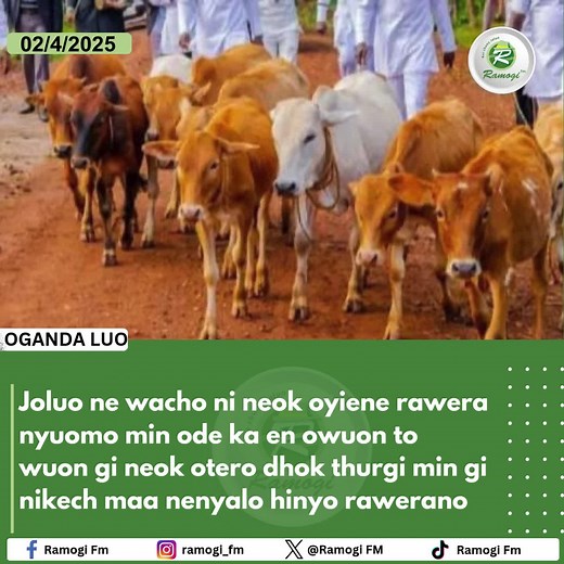 Understanding the Luo Language and Culture