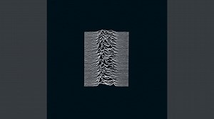 Disorder - Joy Division / ジョイ・ディヴィジョン 和訳 | radictionary