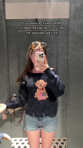 Cavapoo Style: Cute Off-the-Shoulder Sweater