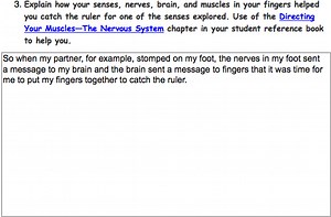 14 - How Our Muscles Know When to Move