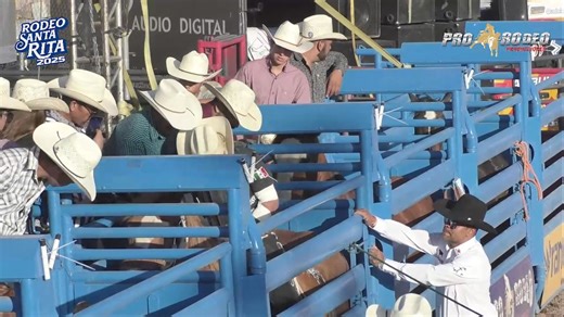 RODEO SANTA RITA 2025/DOM 25/CABALLOS CON PRETAL | Promotora de rodeos - Prorodeo