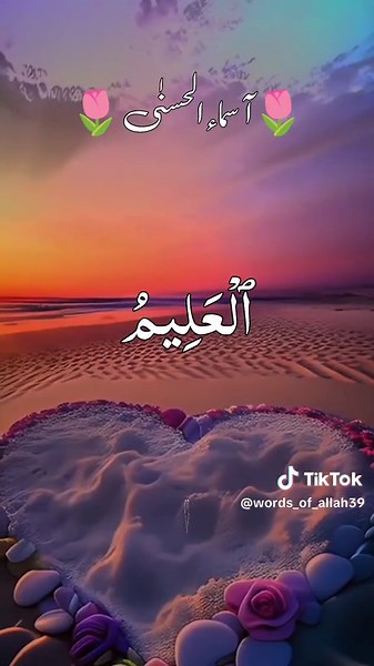 ❣️ Words of Allah ❣️ on TikTok