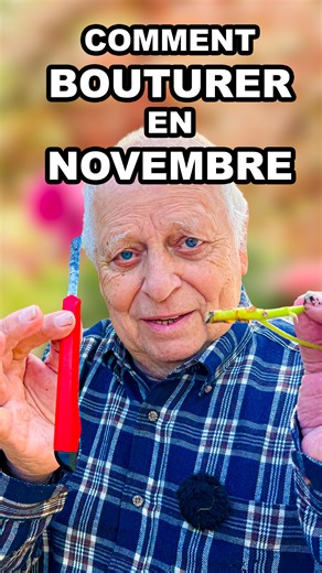 95K views · 1K reactions | Comment bouturer en novembre ? #bouture #novembre #fleurs #plantes #geranium #nature #bouturer #bouturage #conseils #Astuces #jardinage #jardin #jardiner | Buissonnets | Facebook