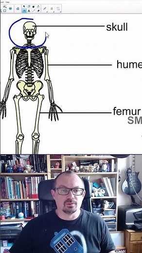 Smart Notebook in 1 minute: The magic pen