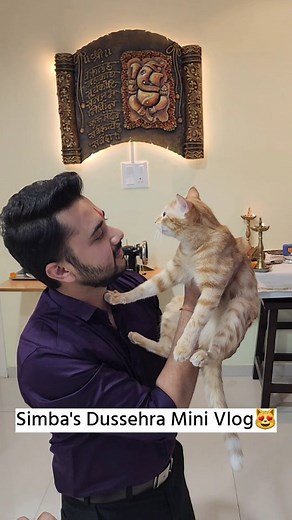 45K views · 2.7K reactions | Simba First Mini Vlog❤️ Would you like to see such more vlogs of simba?? #simbathecat #catloversclub #catsofinstagram #cutecats #adoptdontshop | CheetoSimba | Facebook