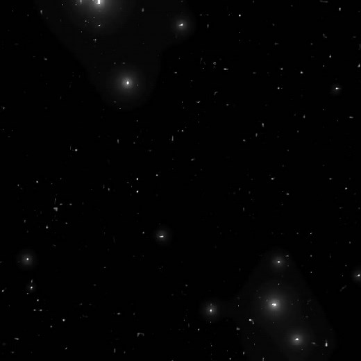 godzilla vs kong# song little rockstar#fypシ