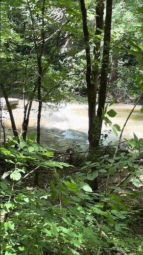 Clear Creek Hollow Trail