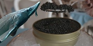Why is caviar expensive?