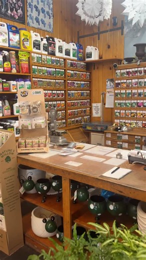 Seeds… 🤤 My mini haul from today’s visit down to the garden center to say hi to my parents. I told Aaron I wasn’t planning on getting anything. 🤥 | Garden Answer