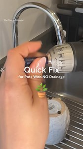 11K views · 81 reactions |  COMMENT ‘shop’ if you want to see which drill bits work on ceramic plant pots! ..... #plantcare #plantcaretips #indoorplants #indoorplant #indoorjungle #plantmom #plantparent #houseplants #plantlovers indoor plant care tips houseplant decor ideas indoor houseplants | theplantymillennial | Facebook