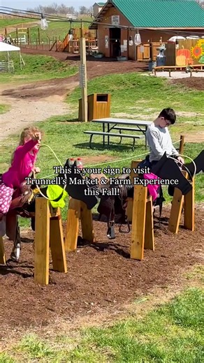 133 reactions · 3 comments | Pumpkins, our corn maze & farm fun await! Our Fall Farm Experience is open this Fri-Mon!✨ ️Fall Farm Experience: Aug 30th - Nov 2nd ️Tickets: trunnellsfarmmarket.com | TRUNNELL'S FARM MARKET | Facebook