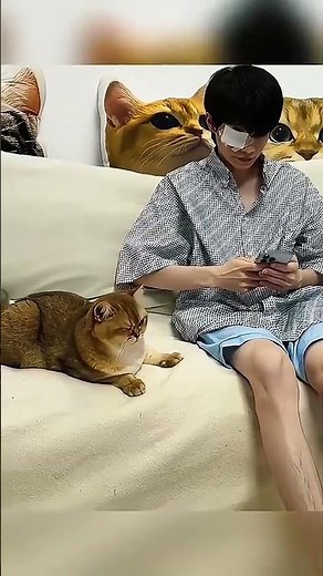 Copy Cats 🐈 Funny Cat Compilation That'll Make You Laugh Out Loud!