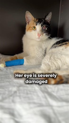 Her life needs more than one hero 😔💔