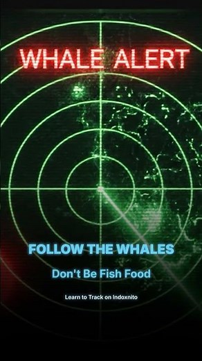 How to Track Crypto Whales (Before They Dump) 🐳🚨 #crypto #whale #cryptocurrency