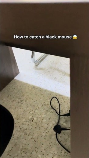 How To Catch A Black Mouse 😱
