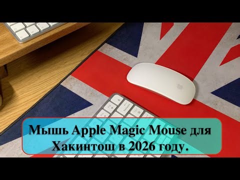 Apple Magic Mouse for Hackintosh in 2026.