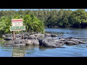 Gatorland's gators stayed put during Hurricane Ian. Now the park is scrambling to reopen.