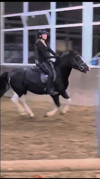 I am back and i am better🙈#horseriding #eq #equestrian #eqbibby #showjumping #horseridingedit #equestrianaudiosAm găsit acest șablon uimitor în CapCut. Atinge linkul pentru a-l încerca! https://www.capcut.com/t/ZmFbKxT3t/ Horseridinghttps://www.capcut.com/t/ZmFbKpmtH/