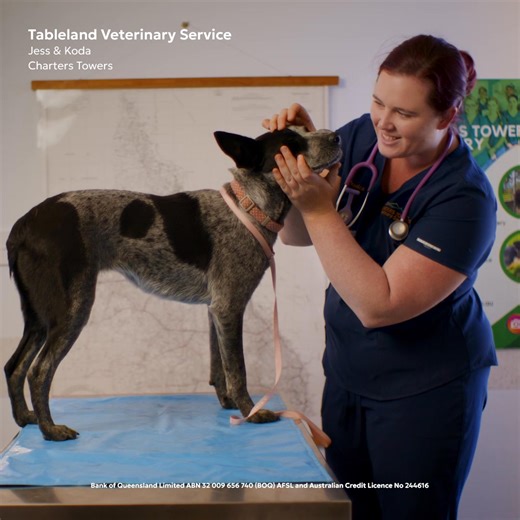 When a Queenslander reckons they can, odds are, they will. And we'll be right here to help. Bank of Queensland. Supporting Queenslanders for over 150 years. 💛🌴 #BOQ #BankOfQueenlanders #150Years | Bank of Queensland - BOQ