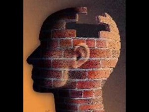 Jean Piaget - Fases do desenvolvimento