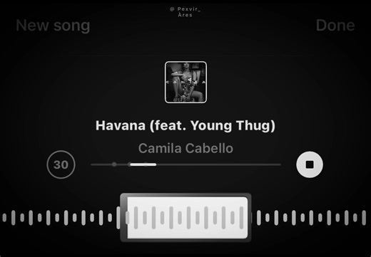 Havana by Camila Cabello: A Catchy Hit