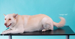 Working at Smart City