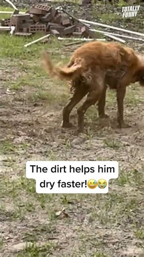 Hope you saved some soap! 🧼