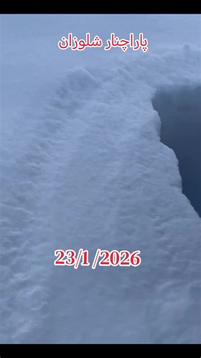 فيديوهات أنشأها PCR News (@pcr.news) باستخدام original sound - PCR News