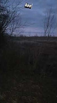 215lb Hog Hunt #hunting #outdoors