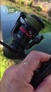 What Are You Throwing For Pressured Peacock Bass?
