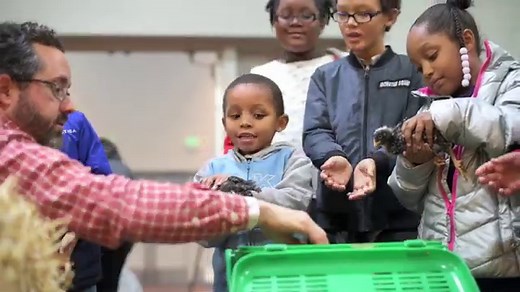 Volunteer Opportunities in Cincinnati · 365 CINCINNATI