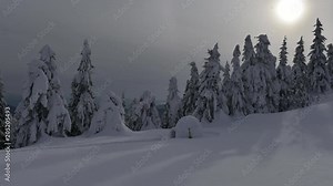 Snow igloo in the winter Carpathian mountains. Snow-covered firs in the evening light in the background. Timelapse video