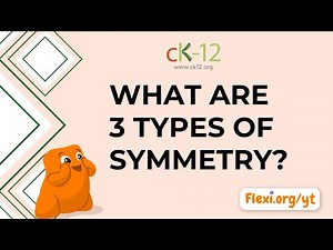 What are 3 types of Symmetry??