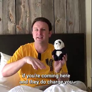 9.2K views · 147 reactions | Hotel PARADOX Santa Cruz, Autograph Collection Review | Yellow Productions Travel Guides | Facebook