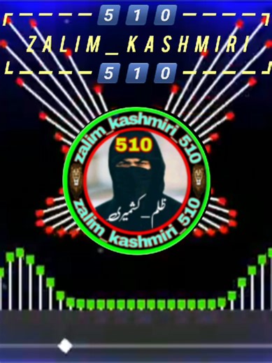 #zalim_kashmiri_510 #afgbro124🤝🤝 #foryoupage #foryoupageکشمیر #sharikoooooo_im_back🤟🤟🤟🦅🦅🦅510 #viralvideo