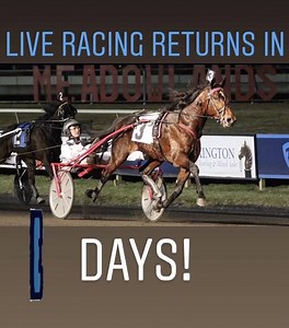 ‪Live racing is back at the Big M! 🤩 (without fans) ‬ ‪We are just 3 days away‼️ Post time Friday & Saturday nights 7:15! #playbigm #harnessracing ‬ | Meadowlands Racetrack