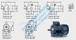 Synchronous Motor | AC Motor | Without Inverter | Diagram & Compatibility