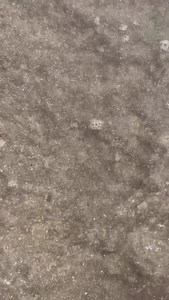 La La Anthony on Reels