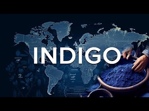 History of indigo. Fragment of a new tutorial by Michel Garcia