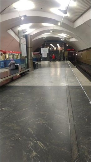 Metro station interior trains Shipilovskaya Moscow 12
